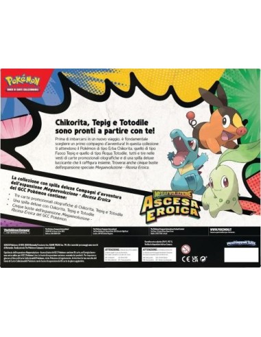 Pokemon carte collezione De Luxe con Spilla