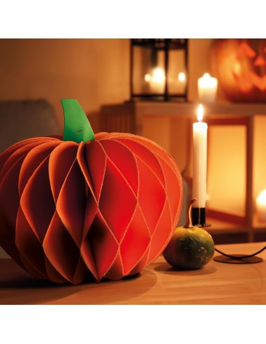 Legami - Zucca in carta pieghevole